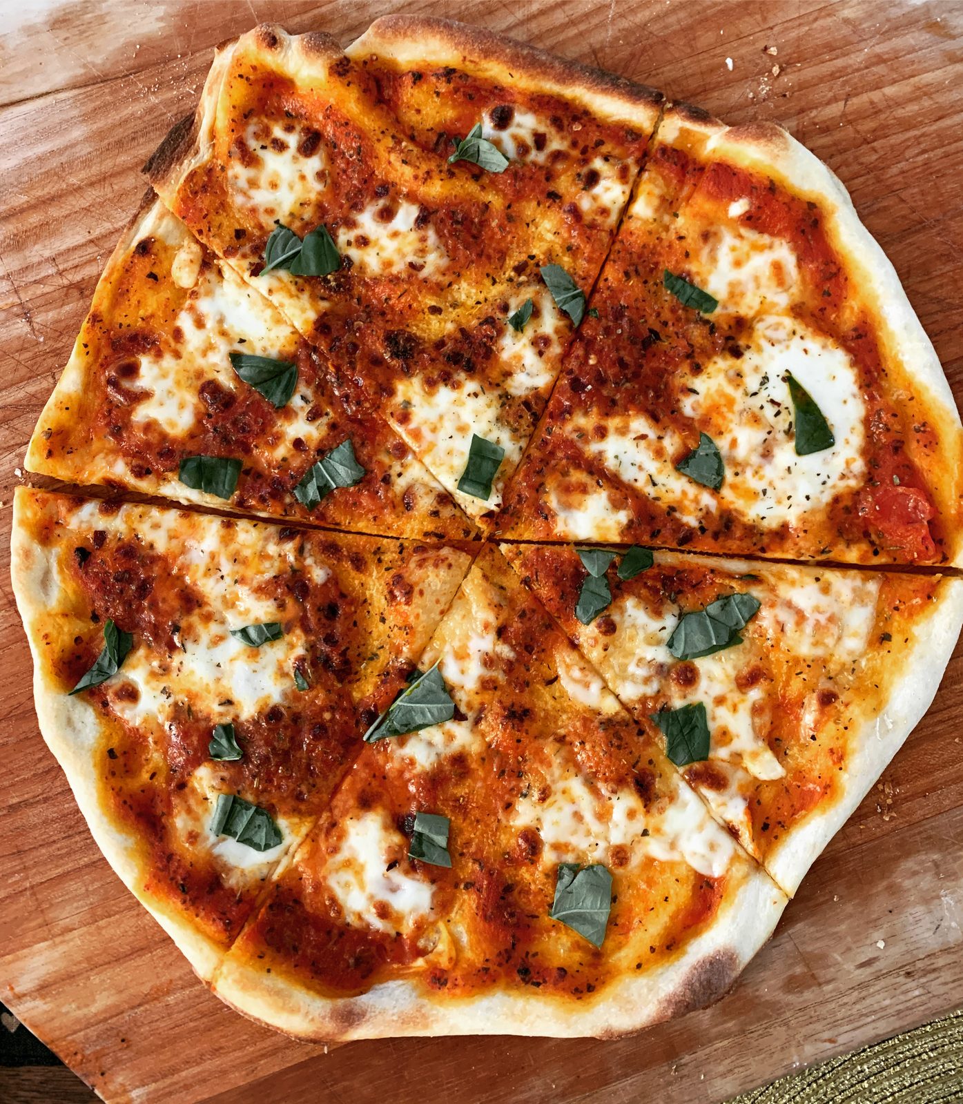 TasteGurus recipe image for Pizza Dough